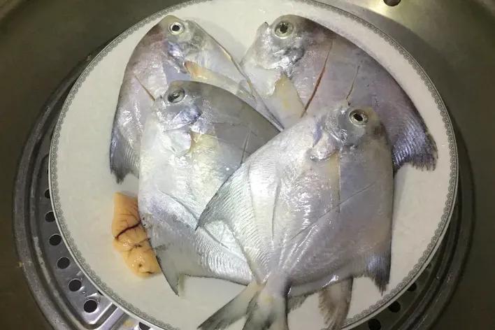 入秋后买海鲜，别忘挑5种“海鱼”，野生海鱼居多，肉质嫩还便宜