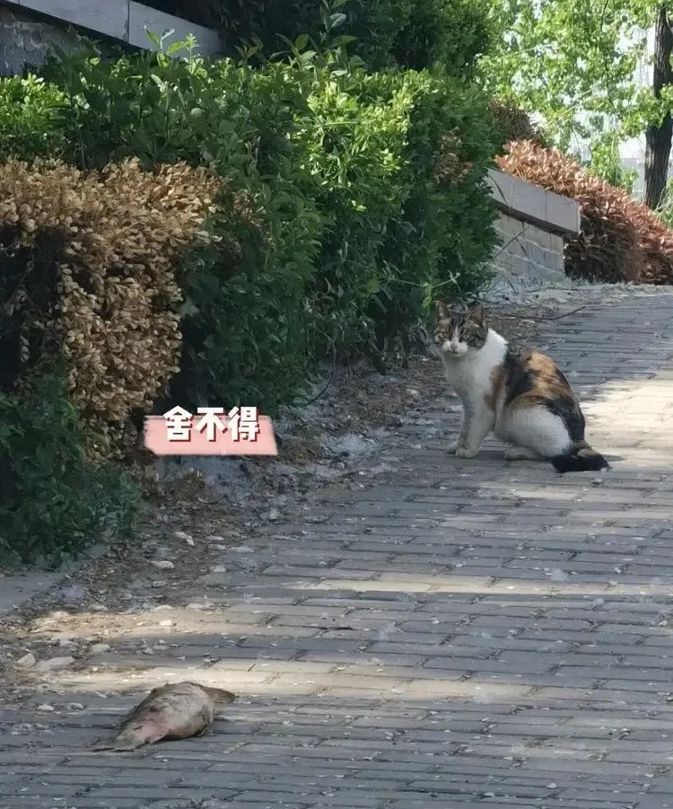 闺蜜送了一个房子,闺蜜送给我一个房子
