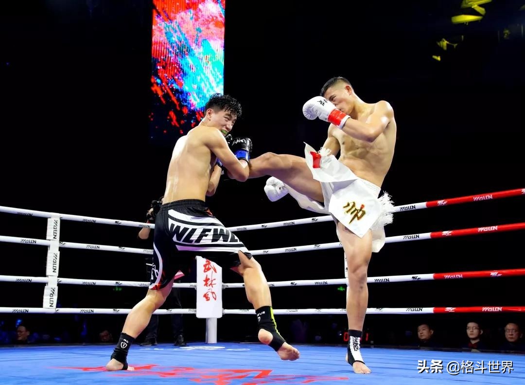 中国搏击排名前十,中国搏击排名前十方便