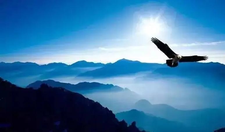 管理那点事读后感,管理那点事领导者