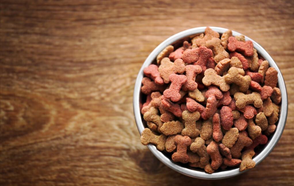 狗粮哪个牌子好如何挑选好狗粮,吉娃娃狗粮推荐分享狗粮挑选方法