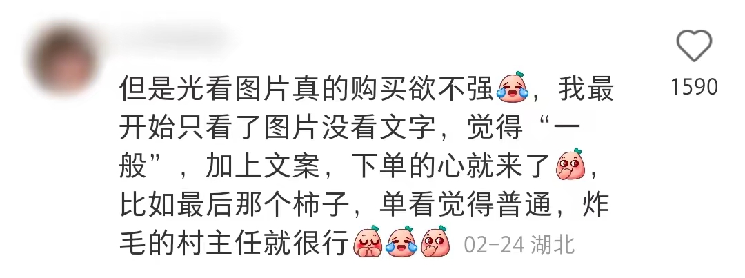 jellycat所有款式,给jellycat海盗狗起名