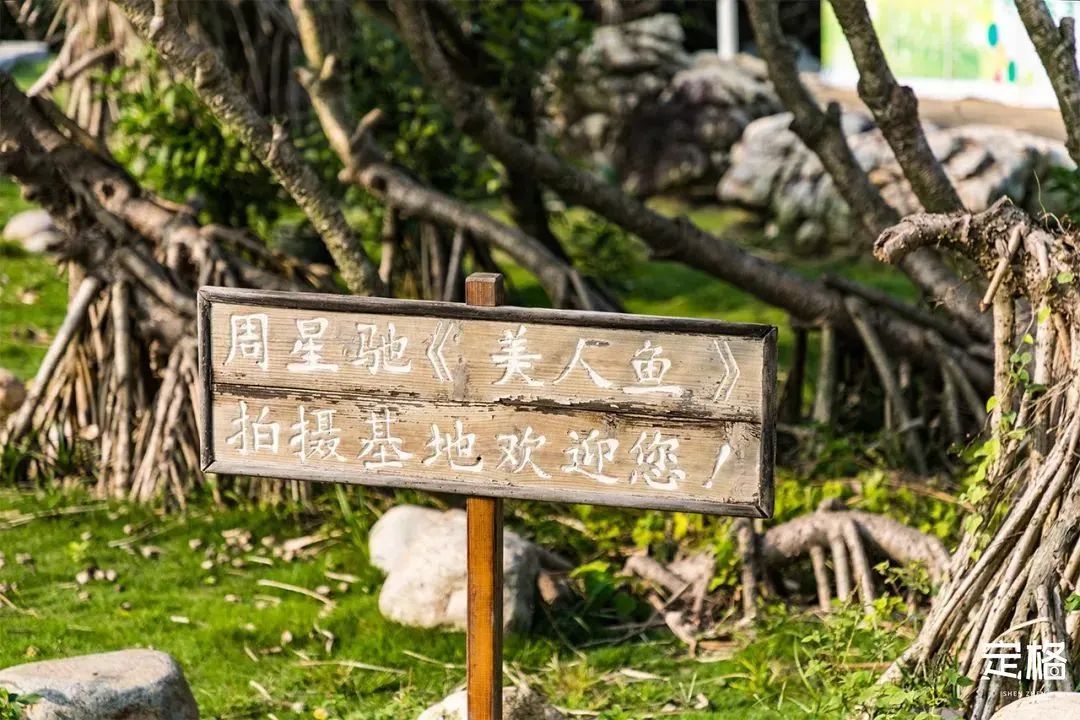 深圳小众打卡景点龙岗,2022深圳10个小众打卡地免费游玩