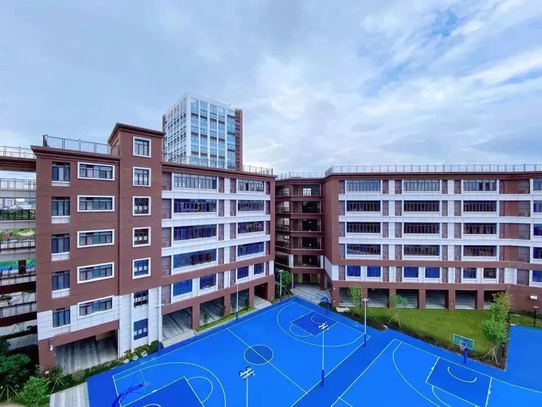 华师有什么院系,华师系学校