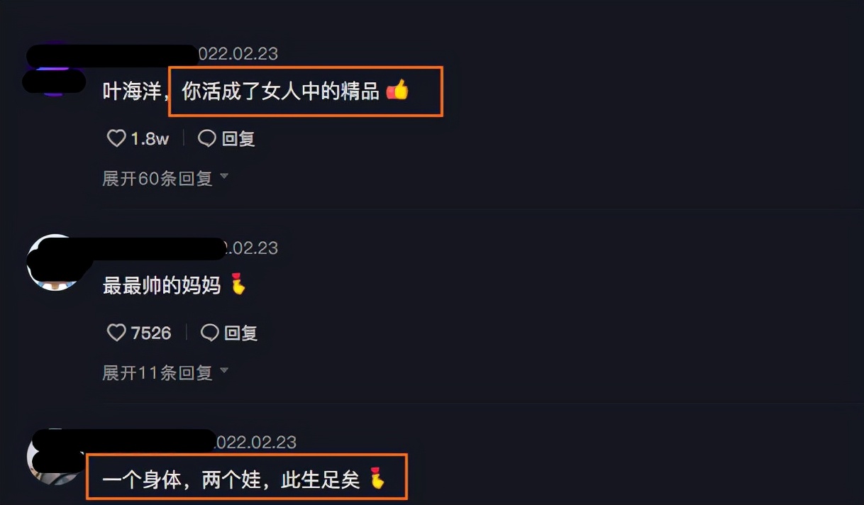 叶海洋二胎和一胎为什么长得不像,叶海洋二胎是何时生的