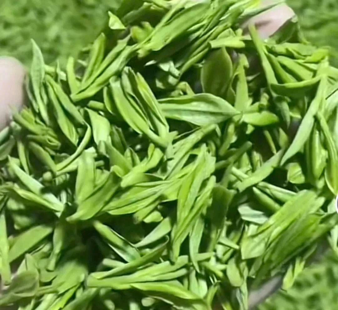 走访一木青茶茶业贸易有限公司,帮助企业制定电商运营计划