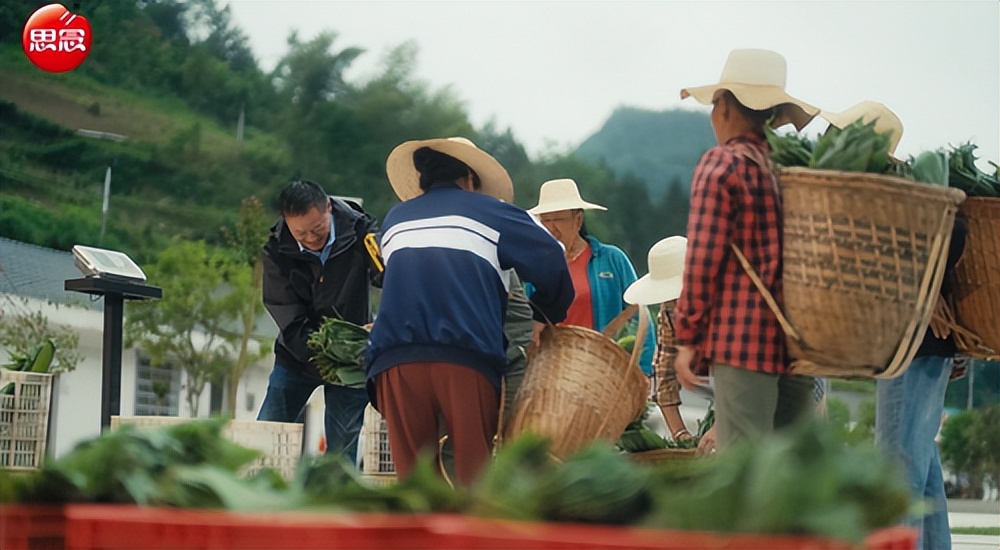 思念食品：粽叶产业链延伸升级，赋能乡村振兴