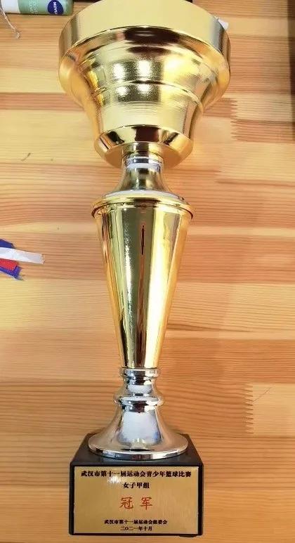 武钢三中高三竞赛,武钢三中奥赛金牌