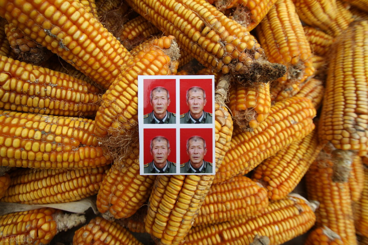 倾斜的身份证如何扶正,怎么用word把拍歪的身份证扶正