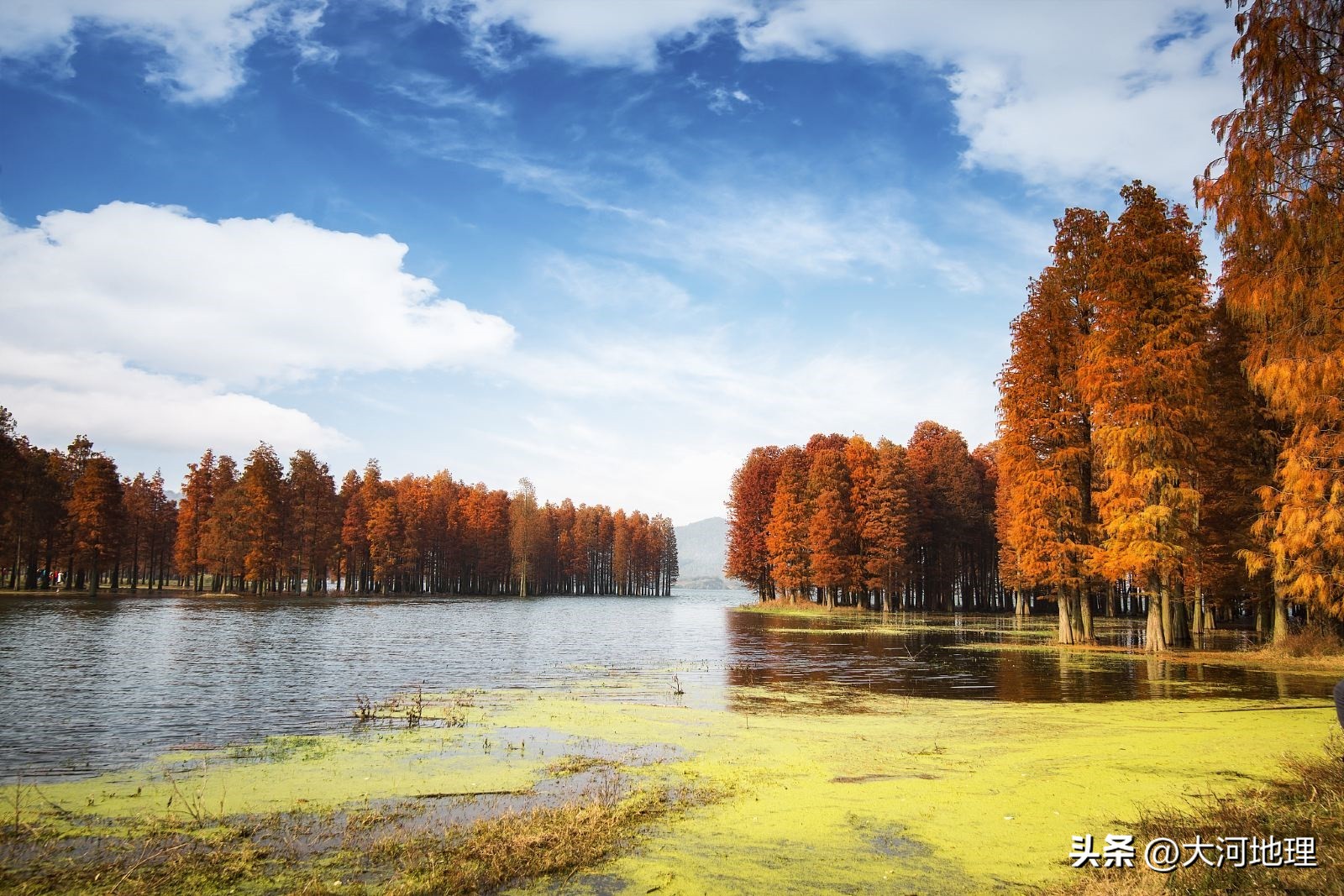 中国南方这30个景点,难说多知名,但敢说它的秋色最艳最浪漫