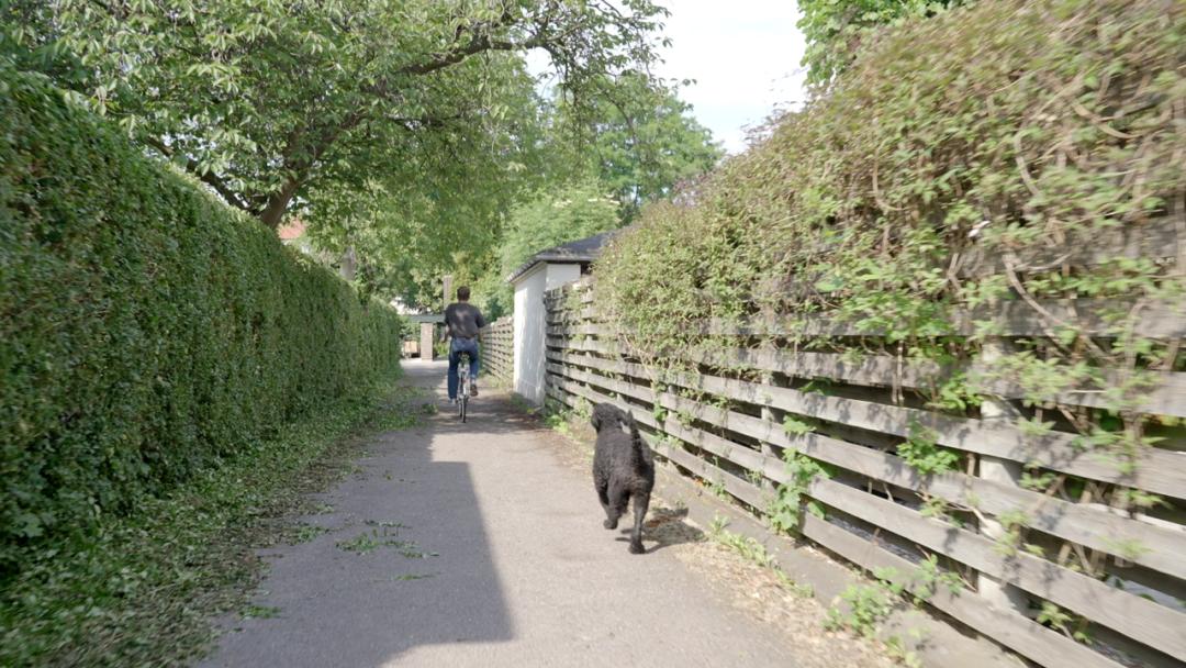 丹麦人的生活方式视频,丹麦人的节俭生活