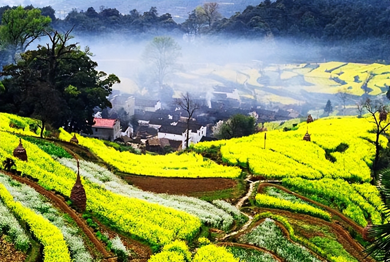 江西省内旅行社跟团游,江西七天游导游团推荐