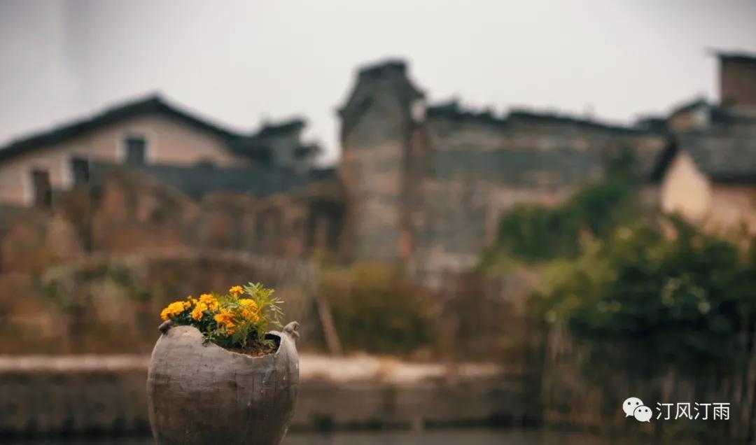 福建长汀戴氏,长汀戴氏族谱