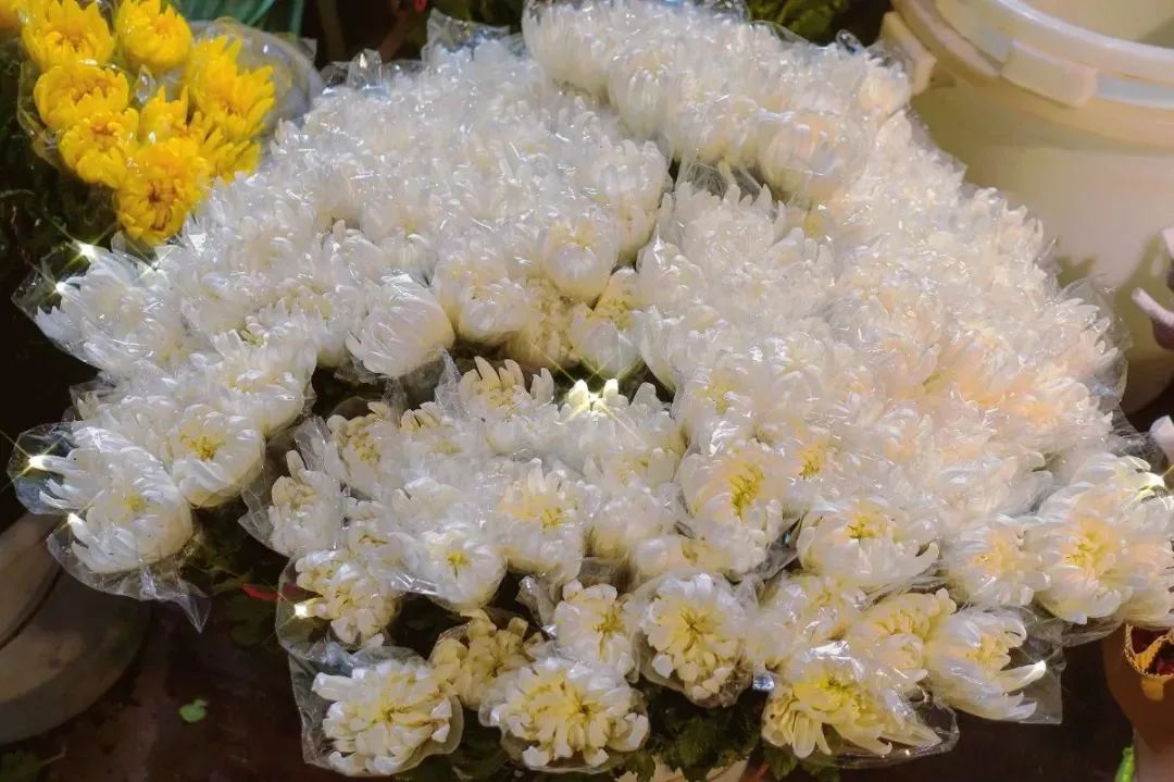 济南花市排名,济南赏花打卡地