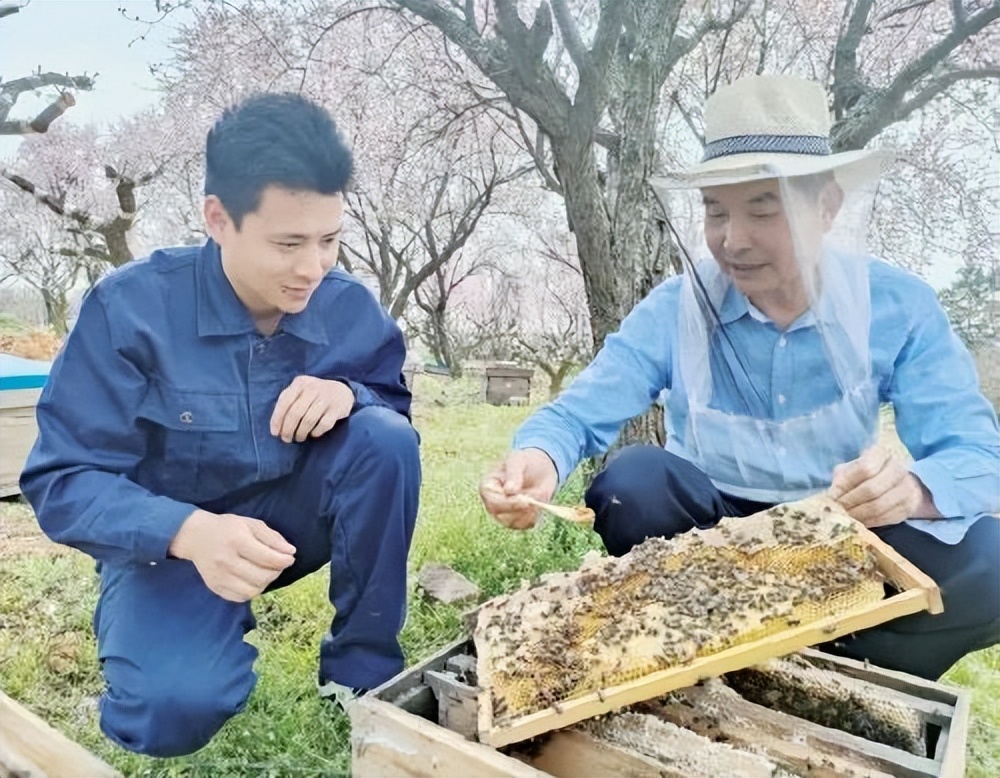 养蜂行业的利润有多少,养蜂业效益分析