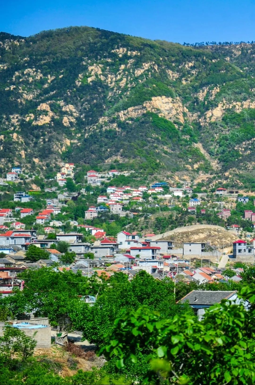 济南元素再一次火爆“出圈”！省长推介的诗意济南是什么样子的？