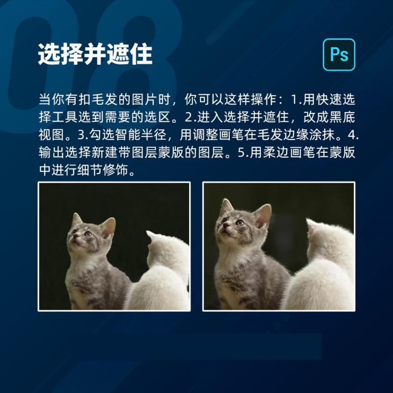 墨言教育如何接单,墨言教育在哪里