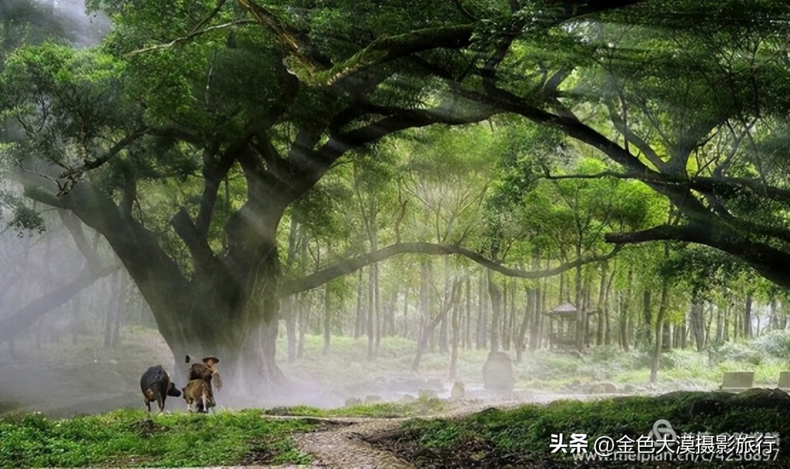 霞浦摄影风光,霞浦滩涂水墨摄影