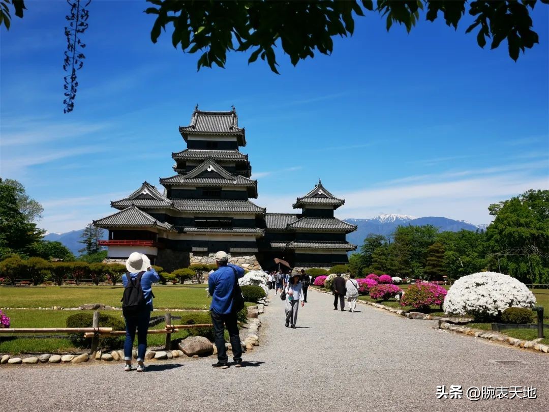 冠蓝狮在日本和国内售价对比,冠蓝狮新品2023