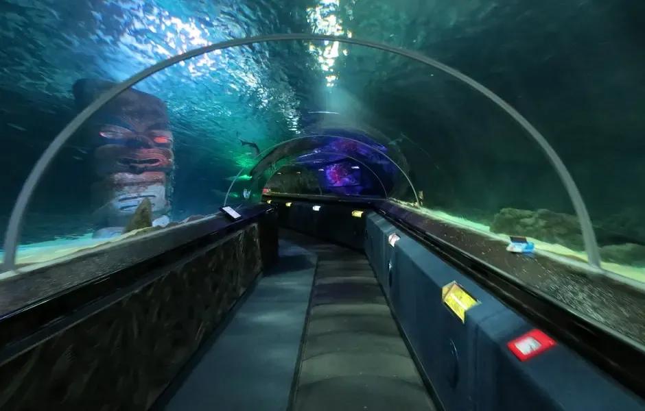 环游第二站新西兰,环游世界的新西兰