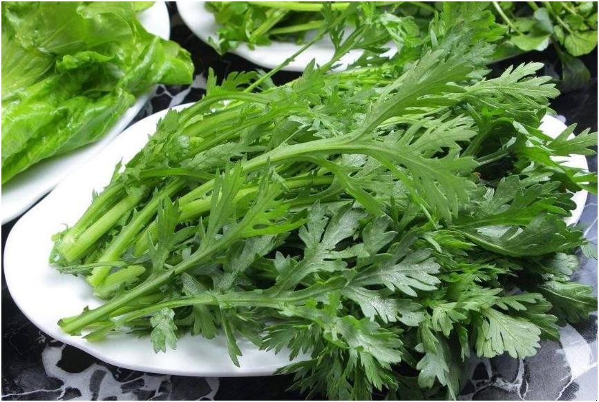 治失眠的蔬菜和水果,哪些蔬菜吃了可以治失眠