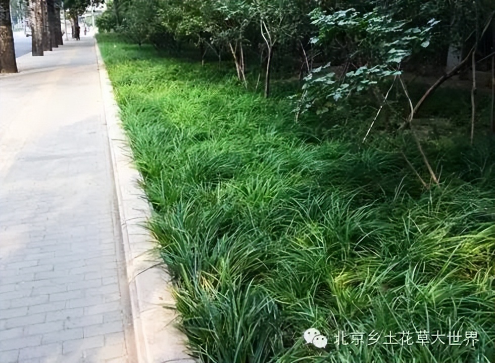 缁挎櫘鏂瑰渾鑺卞崏绉戞妧鏈夐檺鍏徃,缁挎櫘鏂瑰渾