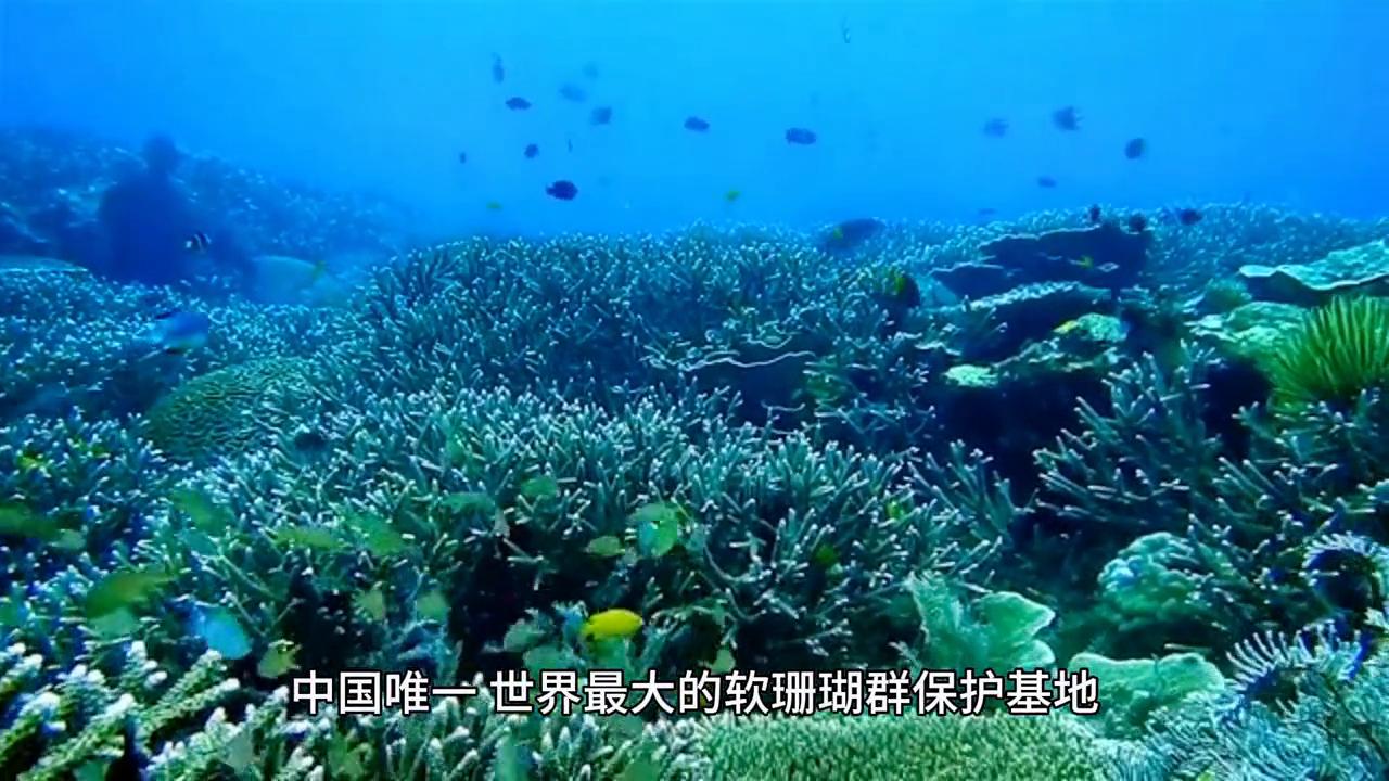 海南岛三亚到海口东线自驾游攻略,海南三亚景点路线