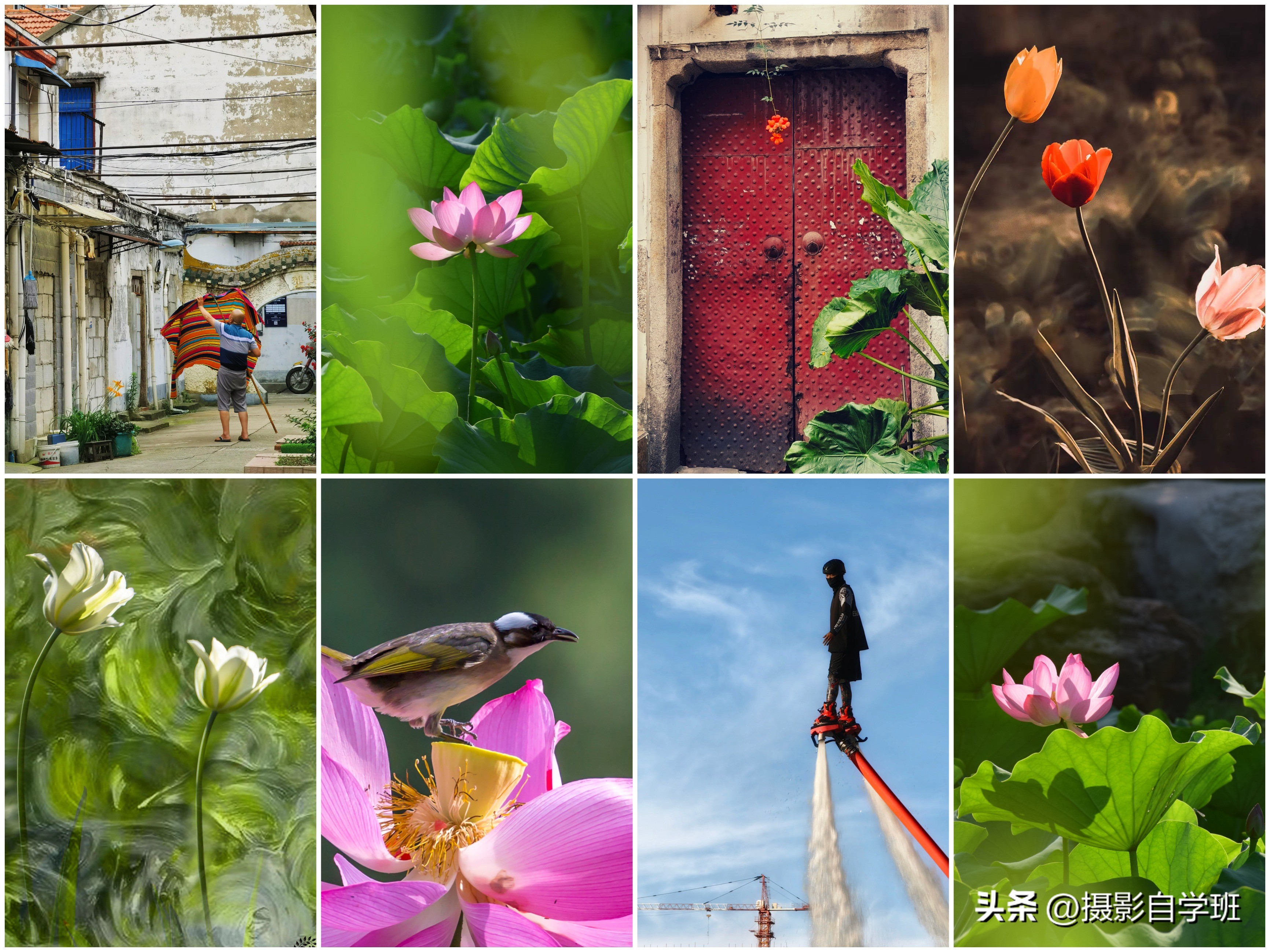 第二十一届摄影作品征稿,摄友投稿图片