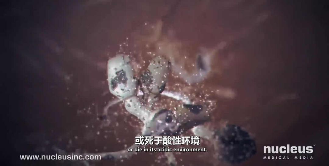 精子的产生是一个很神奇的过程,精子和卵子结合人类完全了解了吗