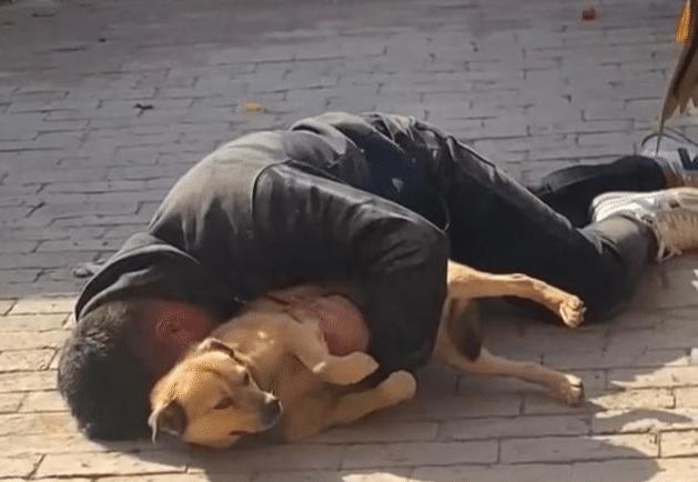 河北邯郸男子喝醉抱狗,河北邯郸男子酒后抱着狗