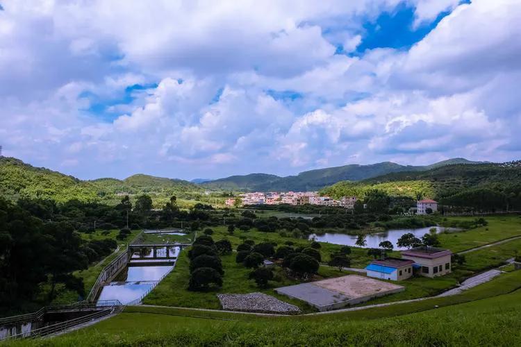 中国的收容谴送制度——一个时代的痛