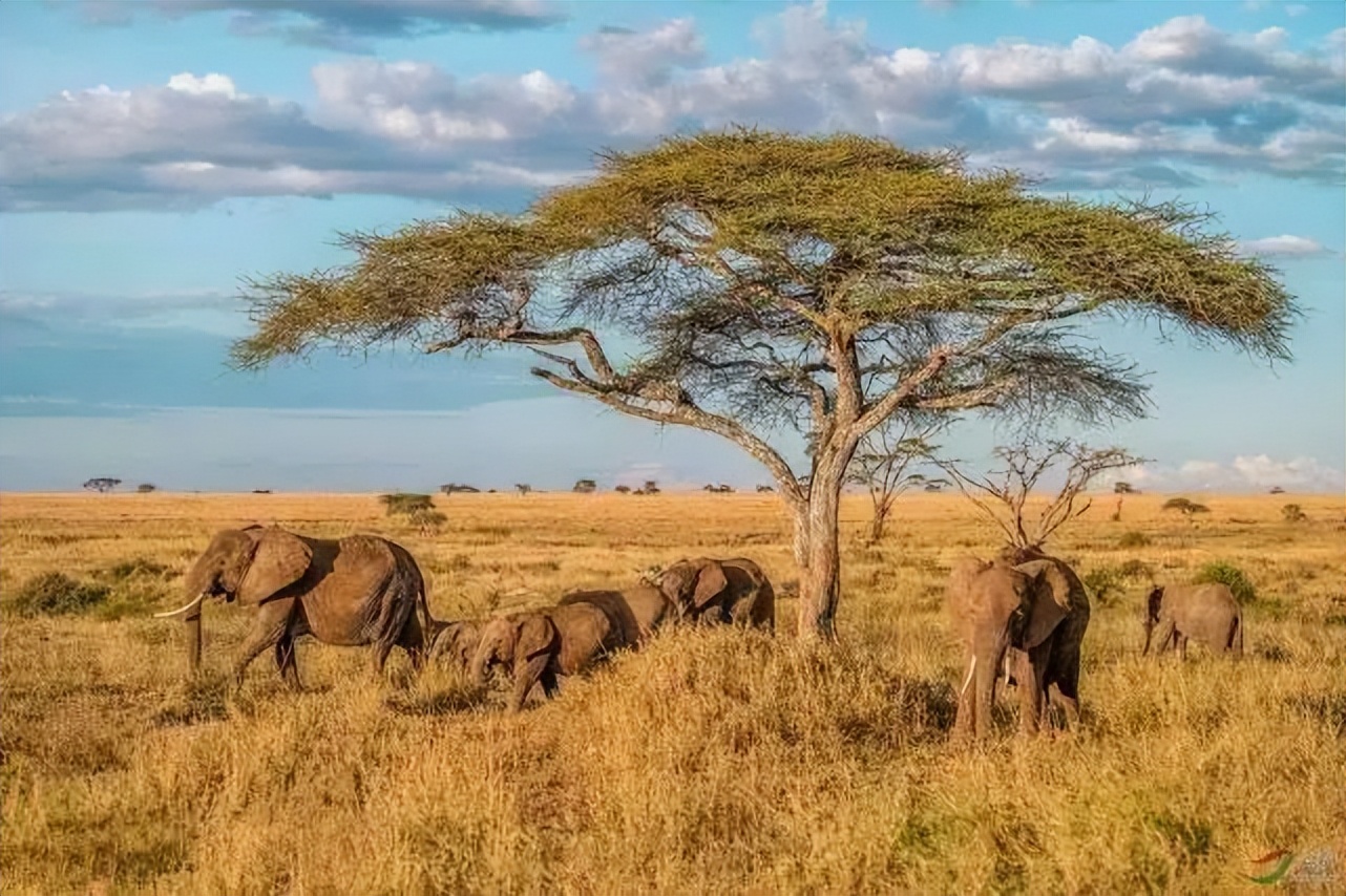 摩洛哥:一个最不像非洲的非洲国家