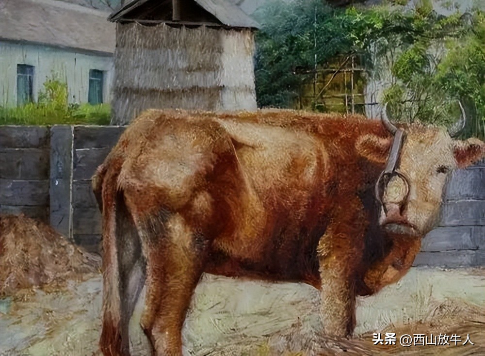 黛安：杀牛记‖散文