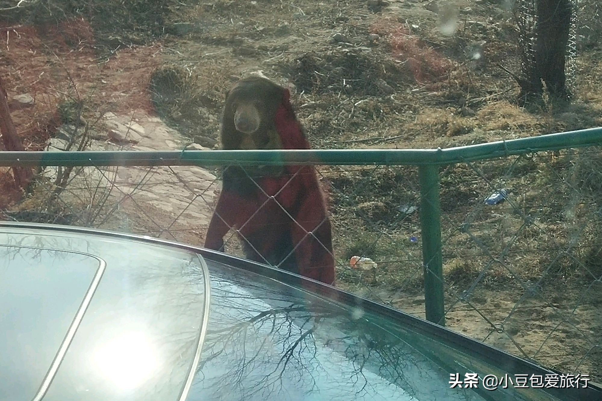 八达岭北京野生动物园推荐,两个人花100块钱能在北京玩多少