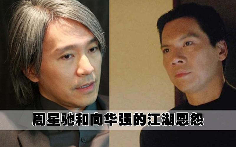 周星驰与向华强发生过什么事,周星驰和向华强闹掰后第一部电影