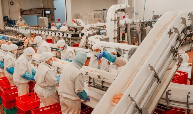 柏氏食品厂,沈阳柏氏食品厂果酱