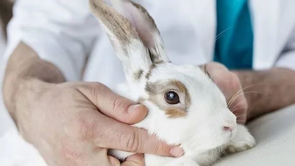 合肥新文道考研半年集训营:6大冷门专业,上岸率高,就业率不差