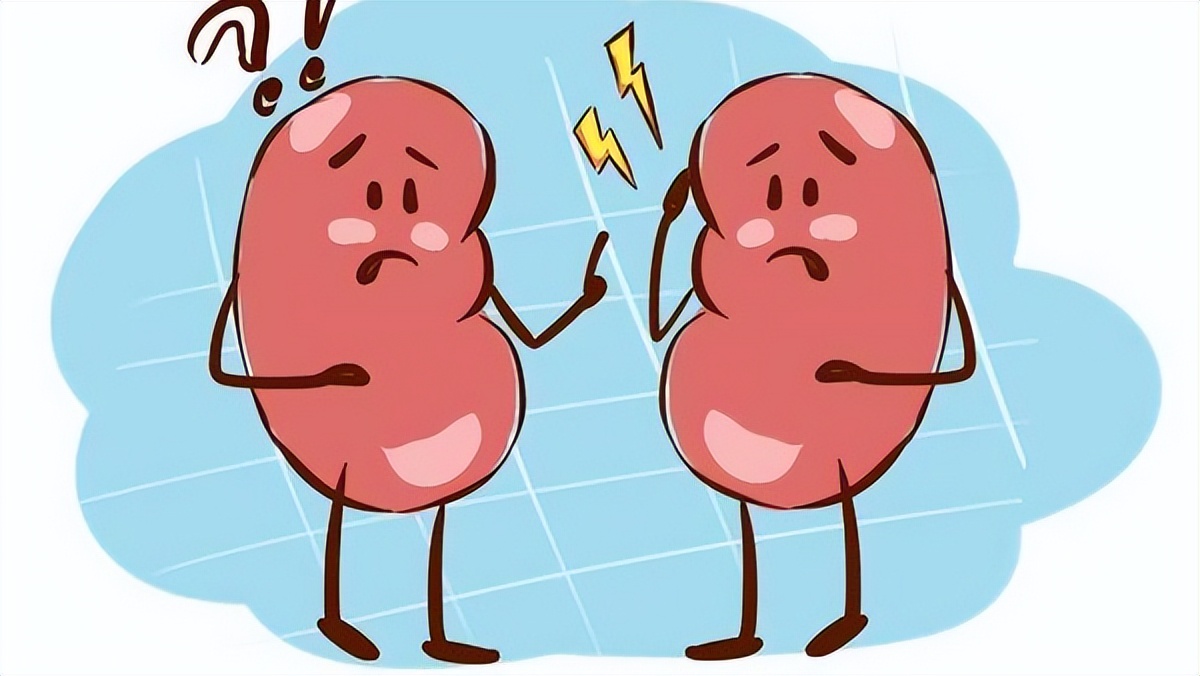 补肾补精最快的方子,补肾精最好的药方