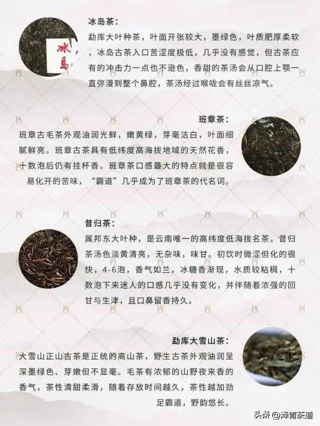 云南34个名山头普洱茶特点及2023云南普洱茶各名产区春茶价格预测