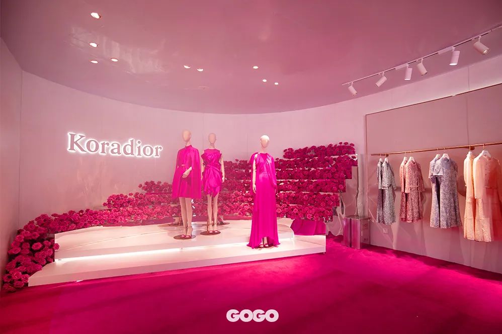 带你去看玫瑰花海,带你看玫瑰花海