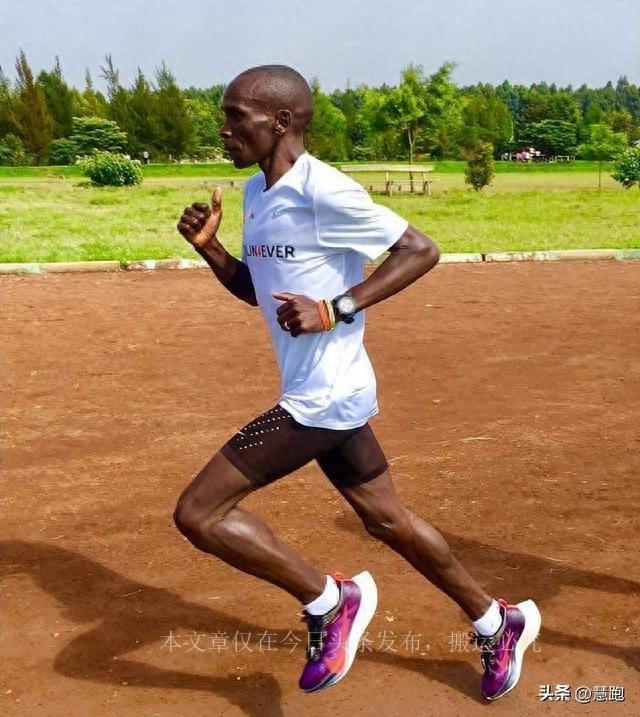 从小白到职业健身选手,从小白到标准体型