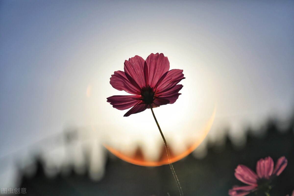 被催婚结婚后悔了,被催婚是常态晚婚已是定局