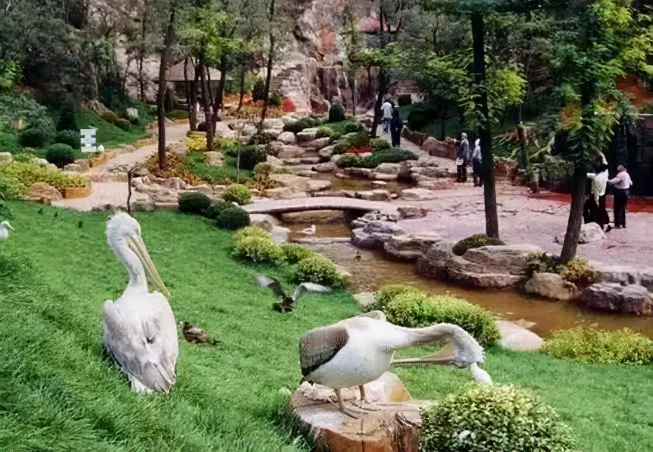 唐山云游铁路博物馆,云游唐山滦州市