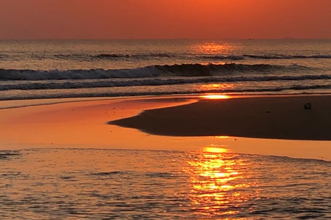 盘点那些过气网红的现状,2020年已经过气的网红