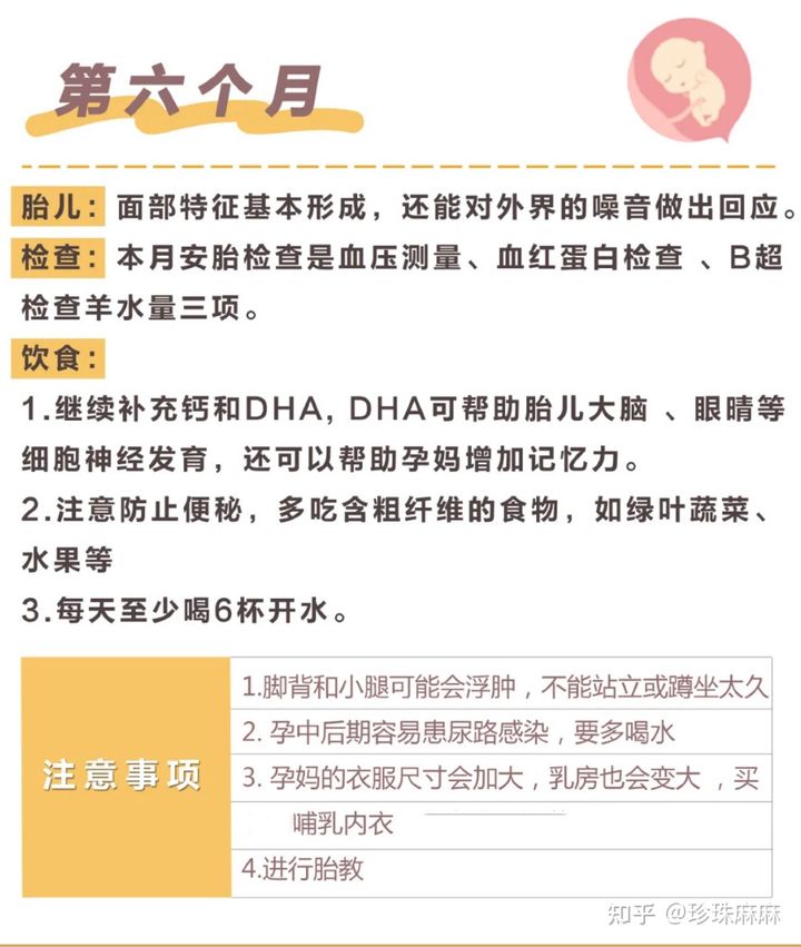 孕妇受孕过程,孕妇从怀孕到生的注意事项及时间