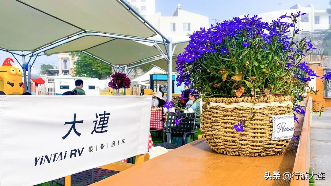 面朝大海,露营自由!5大营地,大连人独有的小欢喜来了