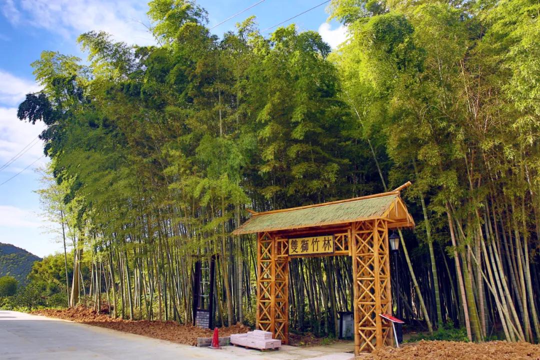 浙江世界最佳旅游乡村是,4村入选世界最佳旅游乡村