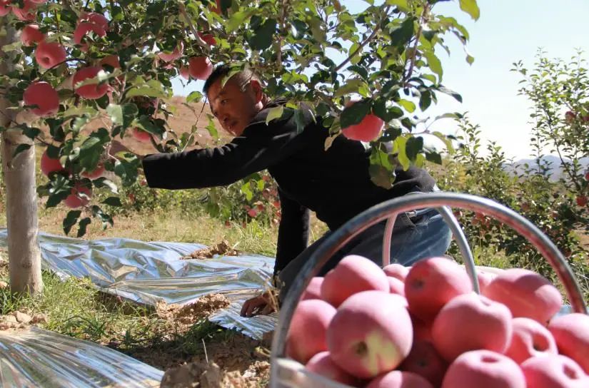 扶贫巩固提升暨乡村振兴总结,区乡村振兴工作汇报