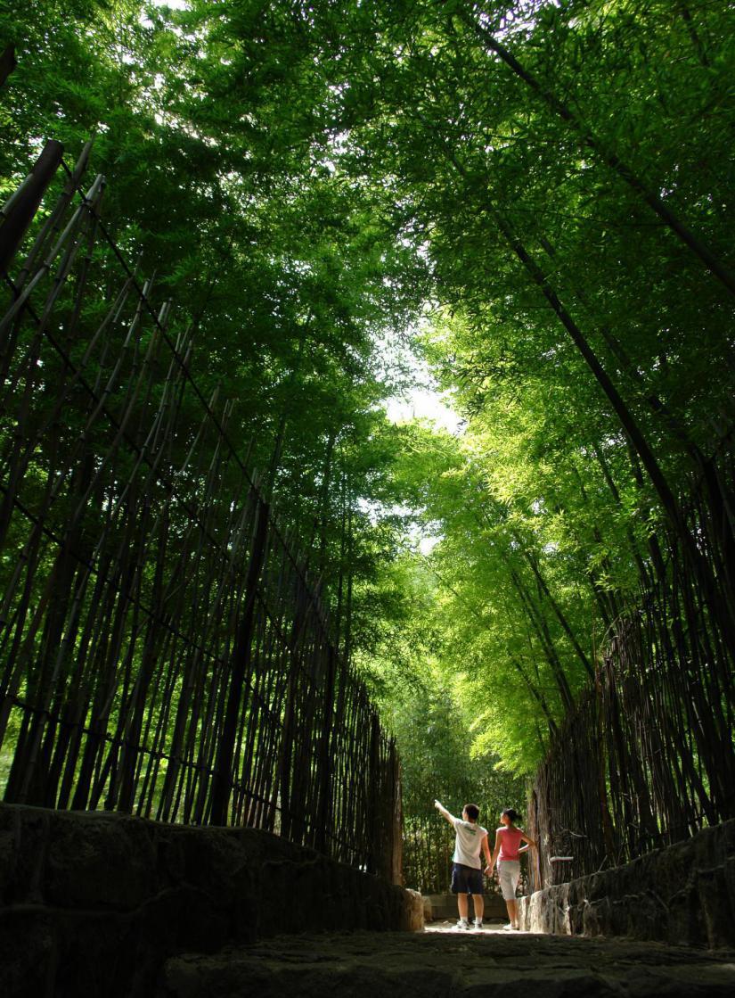 游山玩水、炫烧烤！淄博两日游路线新鲜出炉！你的周末，应该这么玩~