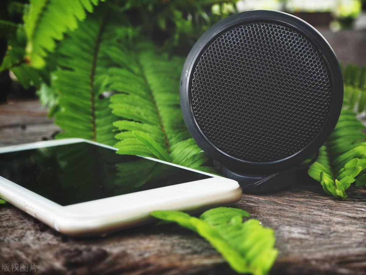 wifi版音箱和蓝牙音箱什么区别,无线音箱和蓝牙音箱有什么区别